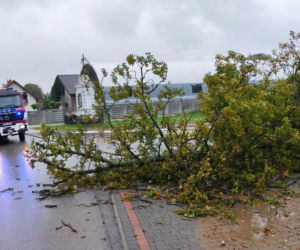 Burze nad Polską. Setki interwencji, tysiące domów bez prądu. IMGW ostrzega. Gdzie będzie najgorzej?
