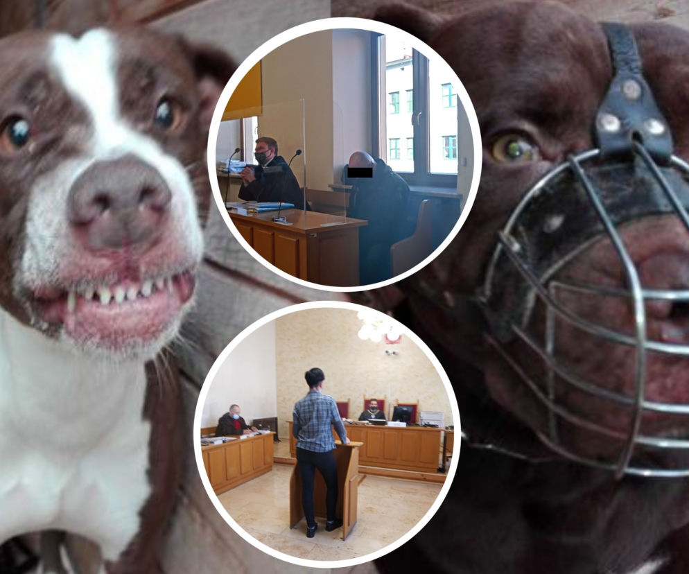 Kamila zagryzł pitbull. Ratownik płakał w sądzie, mówiąc o obrażeniach chłopca. Wstrząsająca relacja  
