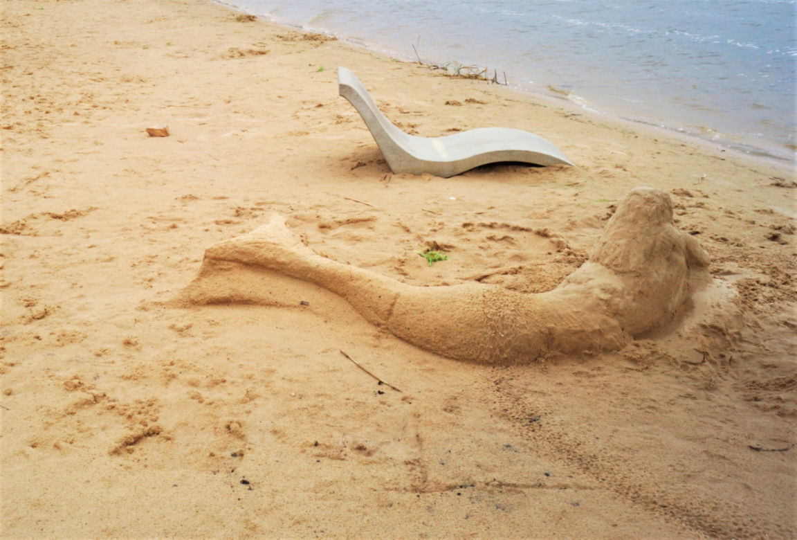 Szukamy imienia dla Syrenki, która pojawiła się na plaży w Brodach