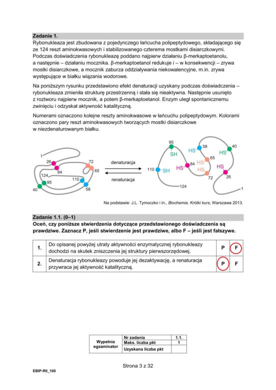 Matura 2025: biologia 9.05.2025. Arkusze CKE i odpowiedzi [Formuła 2015]