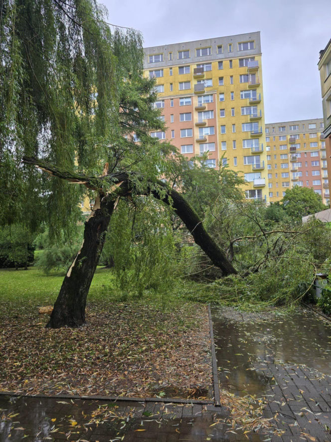 Awarie prądu i zalania. Pracowity weekend służb na Warmii i Mazurach