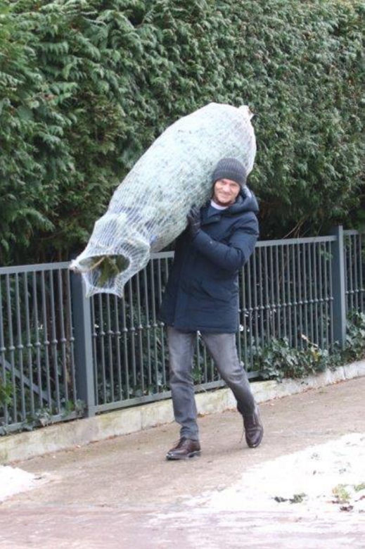 Donald Tusk z choinką