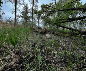 13-letni Mikołaj zginął nad jeziorem. xxx Śledczy mówią o brutalnym pobiciu