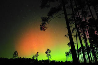 Zorza nad Polską. Niezwykłe widowisko na niebie 19.01.2026