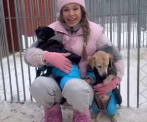 Doda ratuje psy przed mrozem