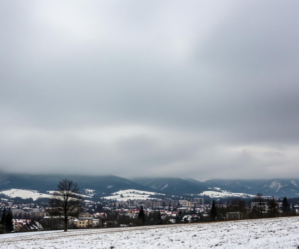 Powyżej rozległej, śnieżnej równiny rozpościera się widok na pokryte śniegiem pagórki i góry, zanurzone w mlecznobiałej mgle, częściowo przesłoniętej ciężkim, szarym niebem. Na pierwszym planie, w centrum, samotne, bezlistne drzewo o ciemnych gałęziach wybija się z białego krajobrazu. Poniżej widać miasteczko z dachami domów w odcieniach czerwieni i brązu oraz większymi, blokowymi budynkami, otoczone ciemnymi drzewami i pasami zieleni, co wskazuje na gęstą zabudowę.