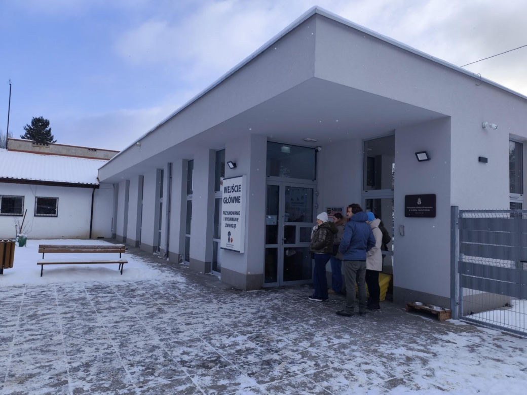 Krakowianie ratują bezdomne psy przed mrozem! Niewiarygodny sukces akcji "Zima" w schronisku