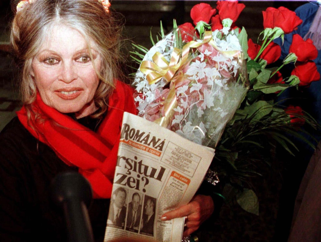 Brigitte Bardot nie żyje. Zmarła w wieku 91 lat. Była ikoną, prawdziwą pięknością