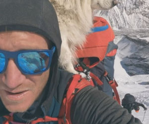 Brat Pereiry zabrał psa na Mont Everest