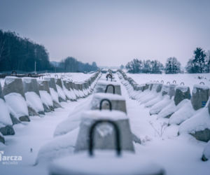 Tarcza Wschód realnie wzmacnia bezpieczeństwo? Podsumowanie efektów