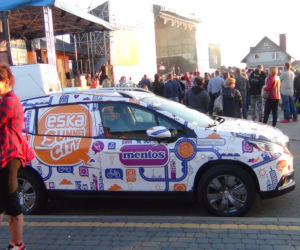 Patrol ESC na Dniach gminy Tryńcza