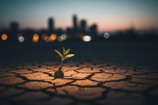 Polska na zakręcie demograficznym. Czy to koniec, jaki znamy?