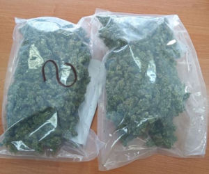 Tarnowscy policjanci przechwycili 1 kilogram marihuany