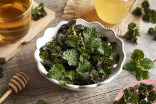 Na co pomaga syrop z pokrzywy? Właściwości, które zaskakują bardziej niż smak