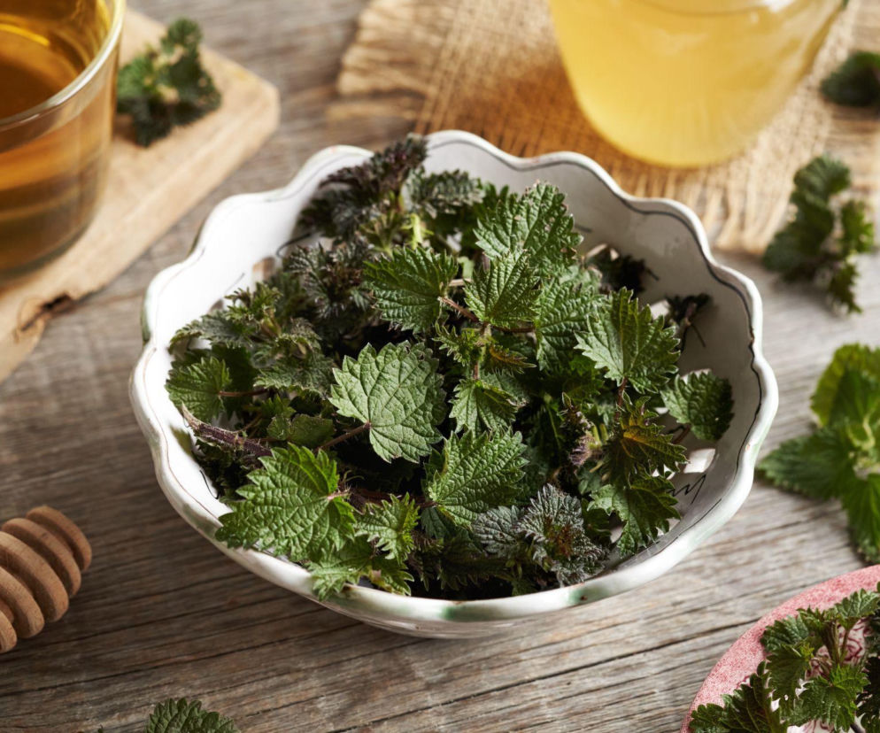 Na co pomaga syrop z pokrzywy? Właściwości, które zaskakują bardziej niż smak