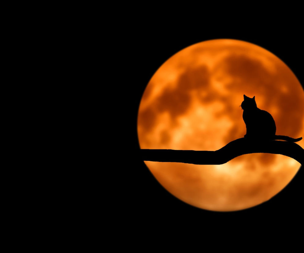 Horoskop dzienny na poniedziałek, 24.01.2022. Co cię czeka?