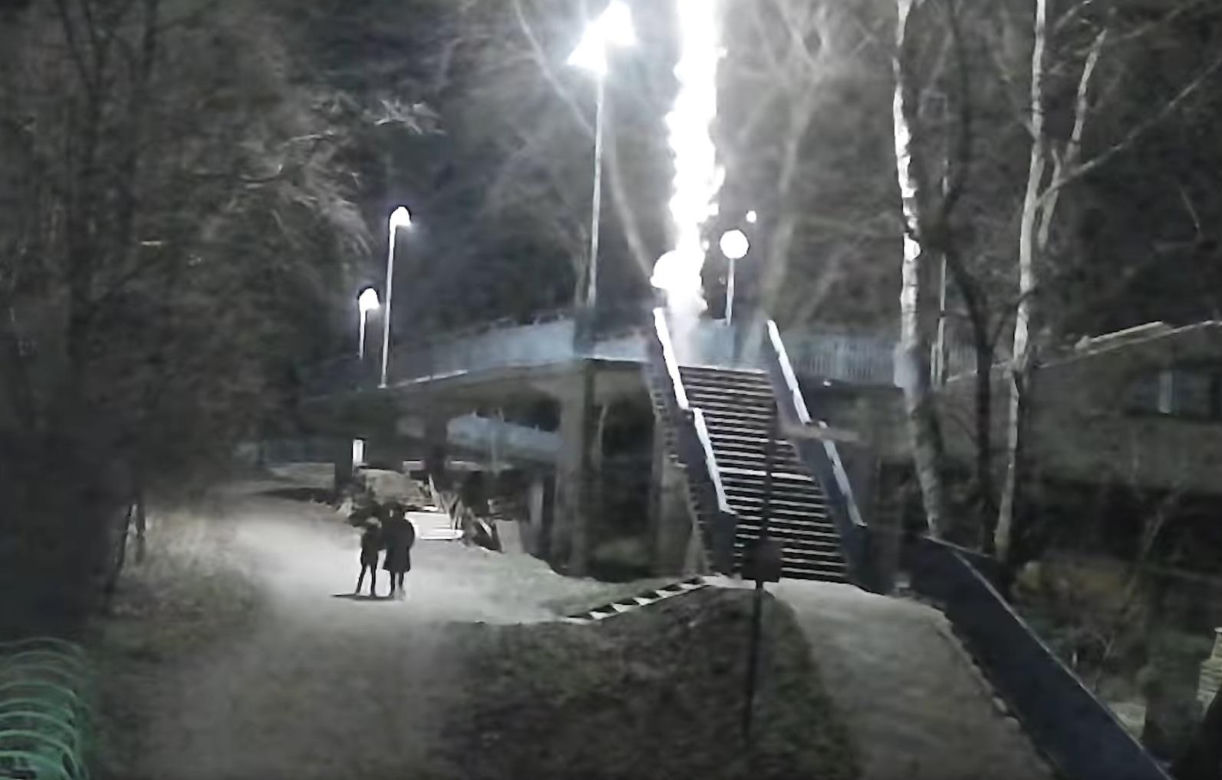 zoo wrocław