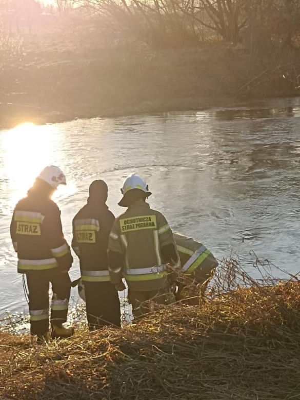 Tragedia na Lubelszczyźnie. Ciało synka Doroty znalezione w rzece. Trwają poszukiwania kobiety
