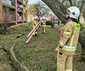 Interwencje Strażaków przy likwidacji szkód spowodowanych przez gwałtowny wiatr i burze