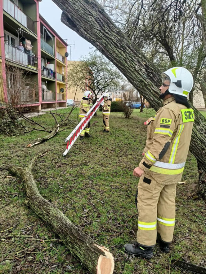 Interwencje Strażaków przy likwidacji szkód spowodowanych przez gwałtowny wiatr i burze
