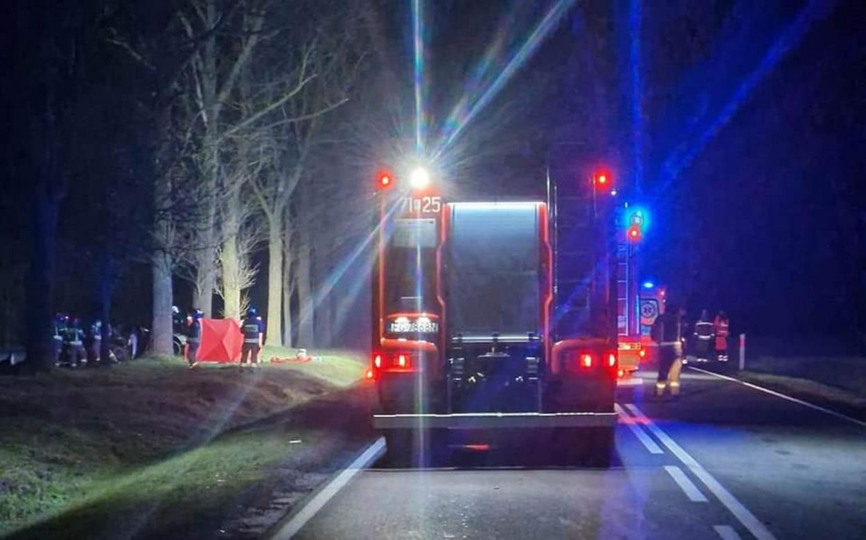 Śmiertelny wypadek pod Skwierzyną! BMW rozpadło się na części po zderzeniu z sarną [ZDJĘCIA]