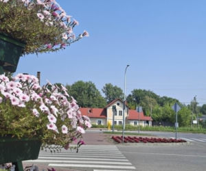 Bodzechów