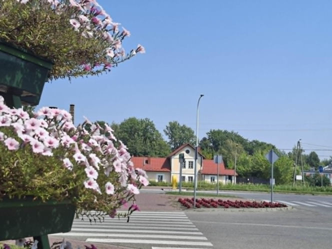 Bodzechów