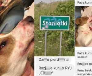 Rzuciła go dziewczyna, więc brutalnie skatował psa. Patrz kur*o jeb**a szmato, krew tryska na wszystkie strony [DRASTYCZNE ZDJĘCIA]