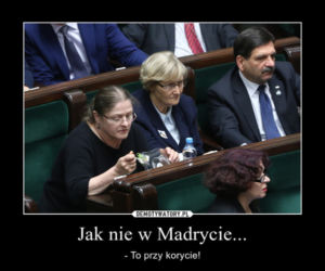 Krystyna Pawłowicz je w Sejmie MEMY