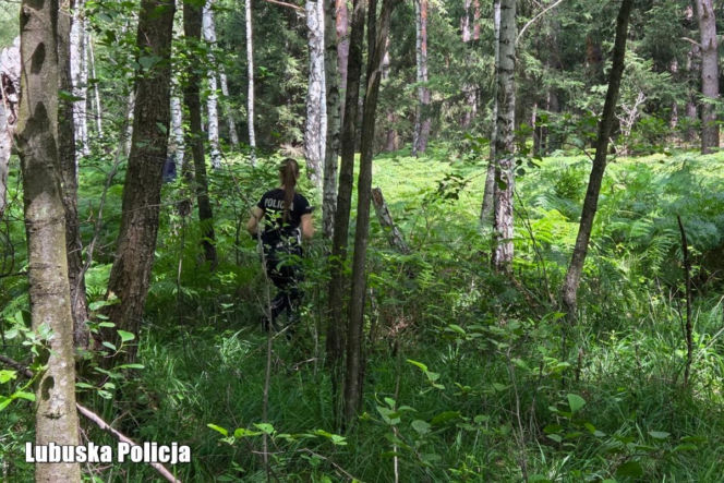 Trwa dramatyczna walka z czasem! Policja i strażacy szukają 76-letniego Janusza