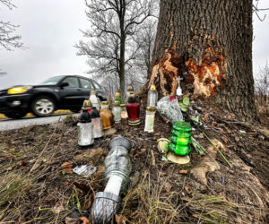 Na zakręcie pojechali prosto, ze sobą wieźli dwa duże psy. Czy któryś z nich ugryzł kierowcę?