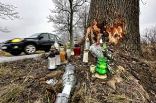 Na zakręcie pojechali prosto, ze sobą wieźli dwa duże psy. Czy któryś z nich ugryzł kierowcę?