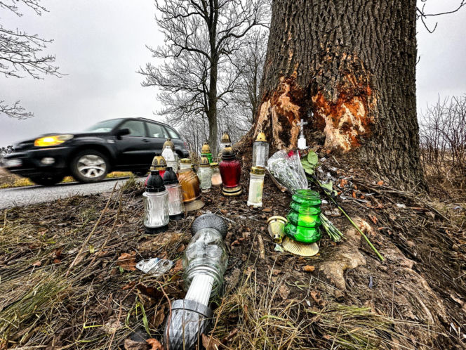 Na zakręcie pojechali prosto, ze sobą wieźli dwa duże psy. Czy któryś z nich ugryzł kierowcę?