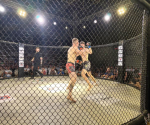 Fotorelacja z Gali Sportów Walki Taurus Fight Arena 2026 w Siedlcach