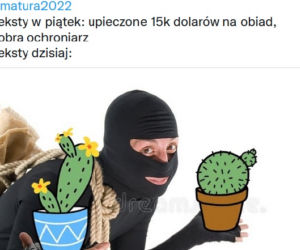 Matura 2022: angielski rozszerzony. Plaga przecieków i... kaktusy! Ręce opadają tylko się śmiać [GALERIA]