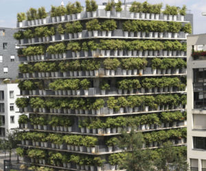 Zielone fasady odmieniają miasta