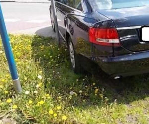 Samochody parkujące na trawnikach w Warszawie [ZDJĘCIA]