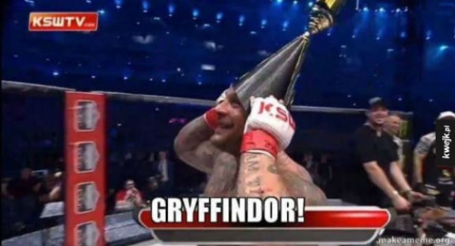 KSW 39 - MEMY po gali