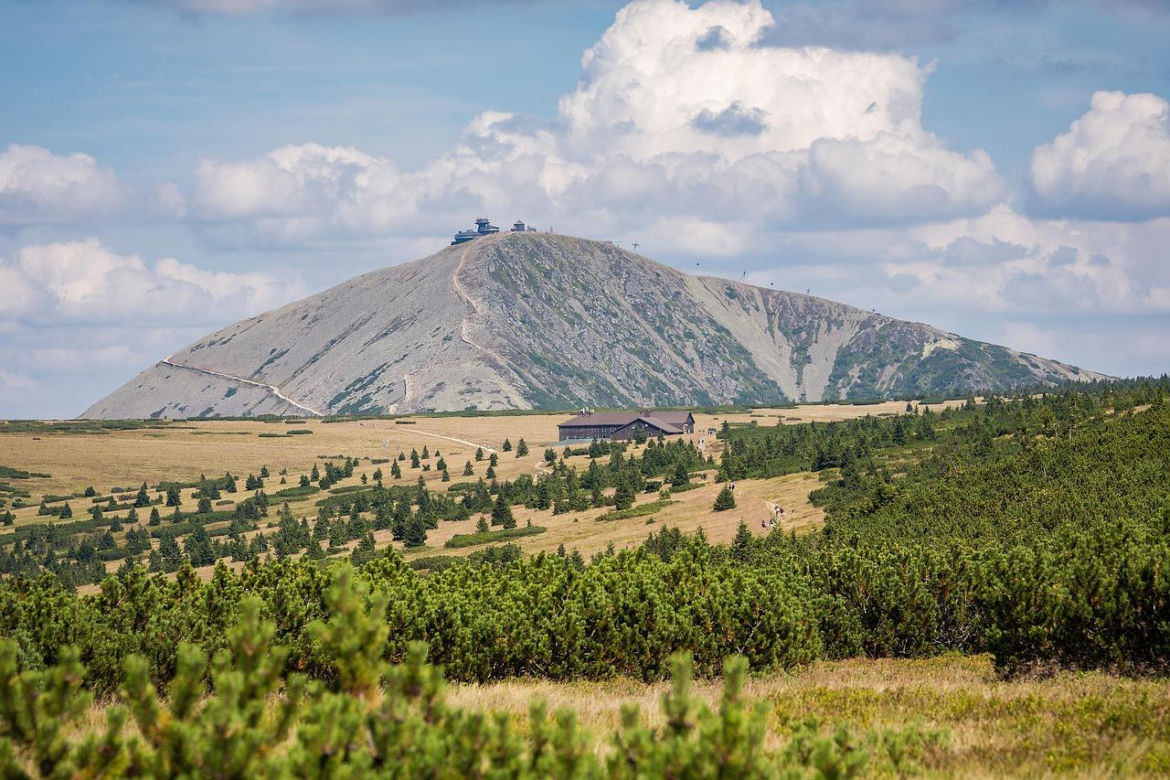 Śnieżka