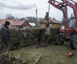 Rolnicy. Podlasie, odcinek 12 (czwarty sezon). Premiera w niedzielę 22.03.22