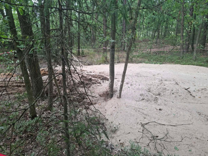 Tajemnicza maź zalała las pod Starachowicami. Policja i leśnicy badają sprawę