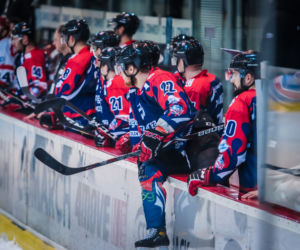 Comarch Cracovia - KH Energa Toruń 4;2. Zdjęcia z meczu w Krakowie