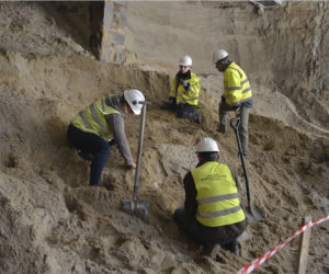 Kości pradawnych zwierząt na budowie metra