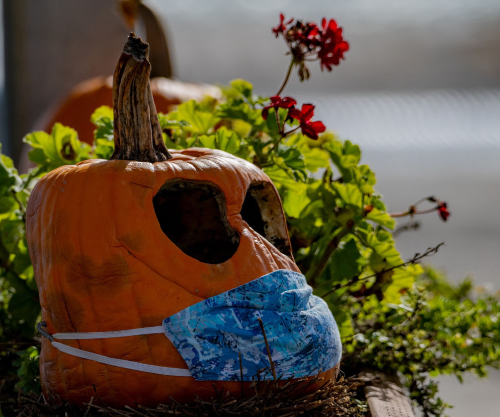 Halloween w czasie koronawirusa. Czy dzieci mogą zbierać cukierki? [OBOSTRZENIA] 