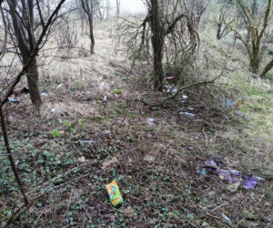 Zebrała porzucone śmieci w lasach koło Goliny i zaniosła do urzędu