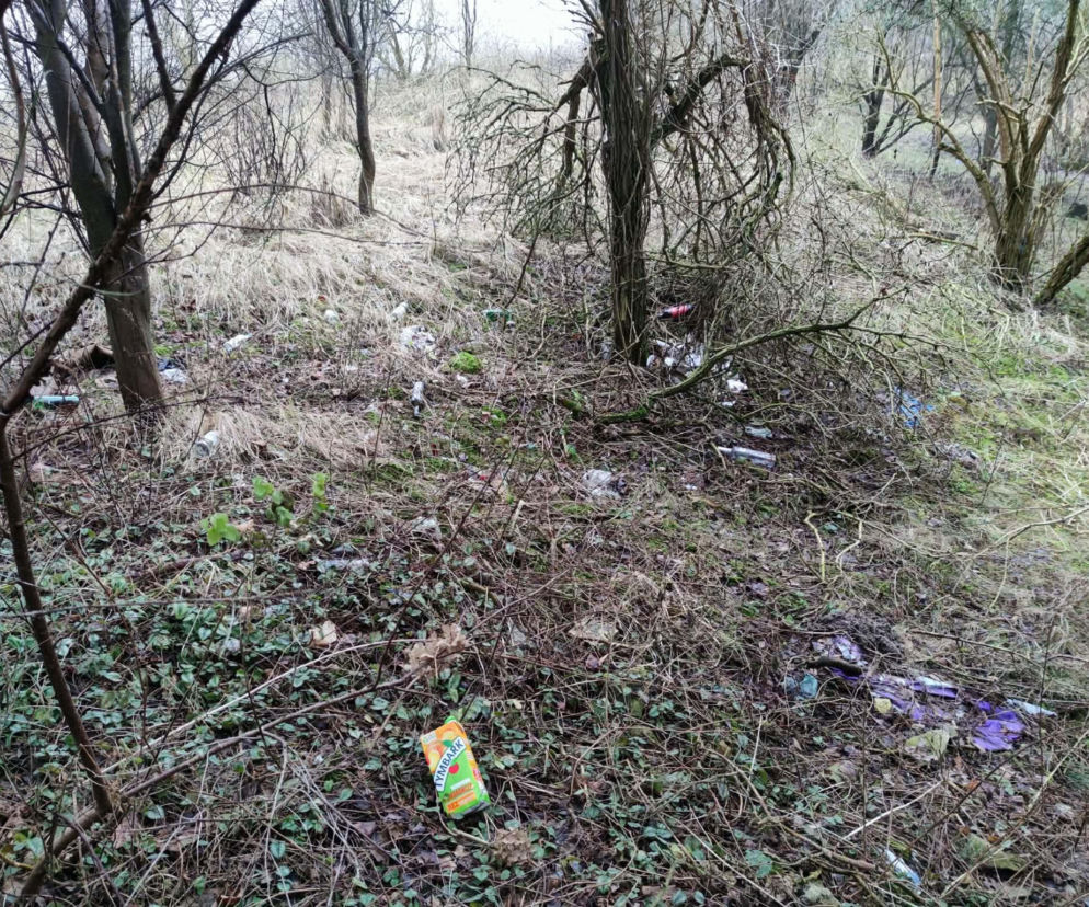 Śmieci podrzucane w Golinie