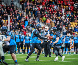 Panthers Wrocław