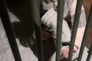 Doda ratuje psy przed mrozem