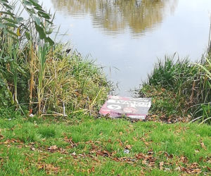 W Toruniu wiszą nielegalne plakaty wyborcze. 31 decyzji karnych!