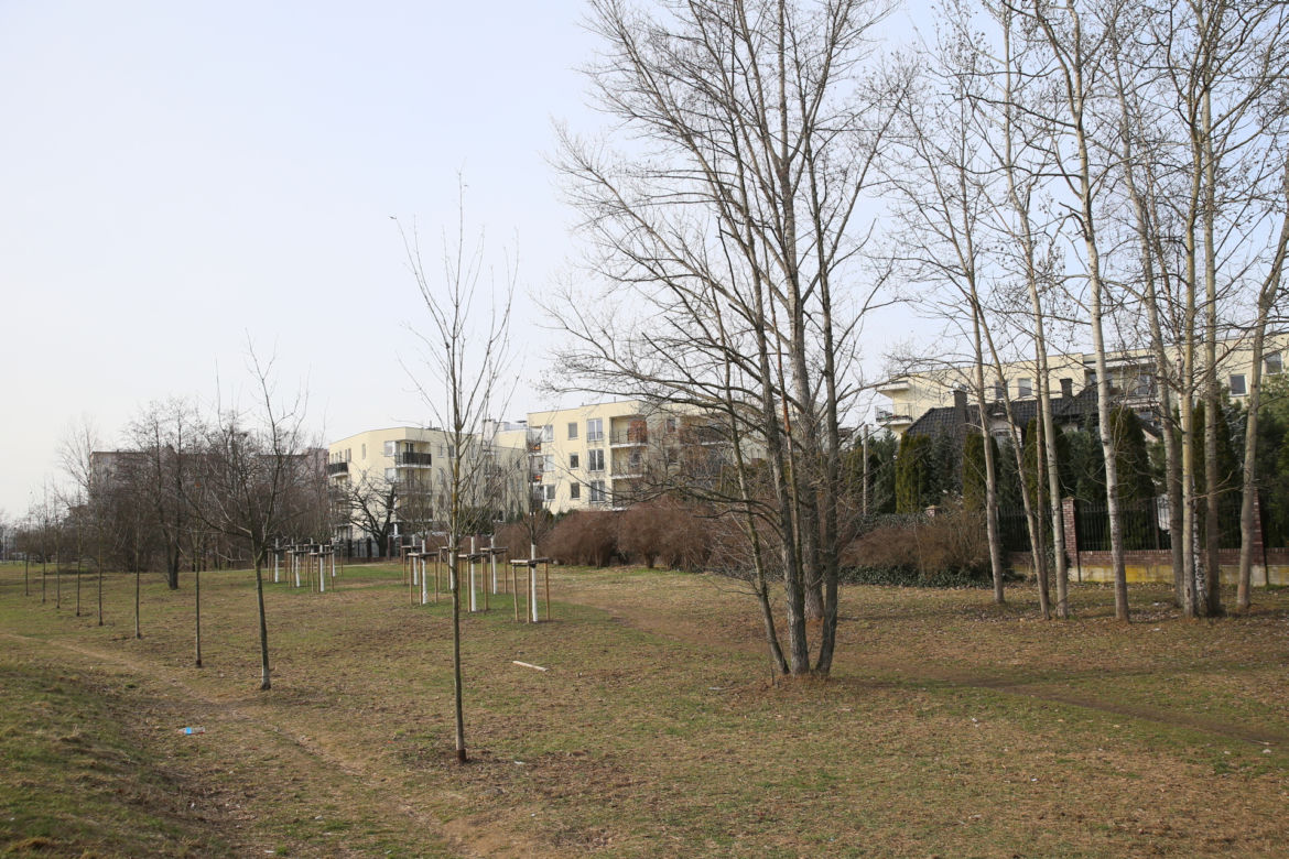 Urzędnicy chcą z zielonego skweru zrobić parking. Mieszkańcy wolą park